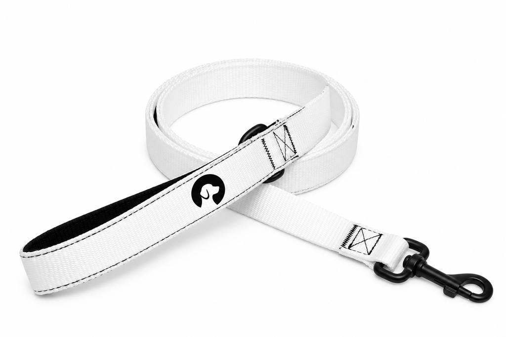 MAMGPets Premium Adjustable Dog Leash