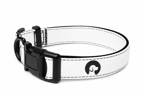 MAMGPets Premium Adjustable Dog Collar