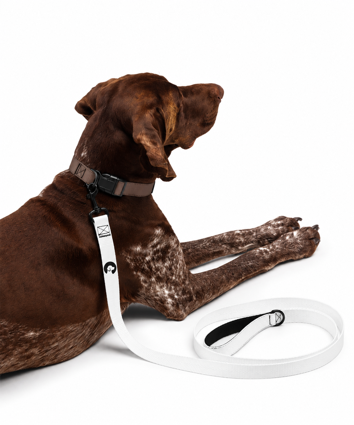 MAMGPets Premium Adjustable Dog Leash