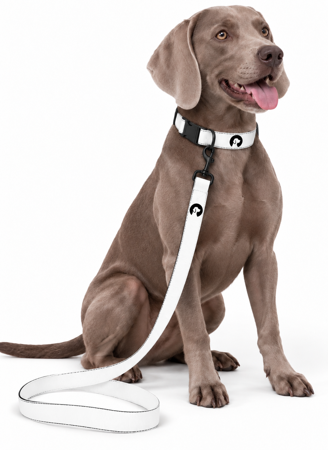 MAMGPets Signature Collar & Leash Set