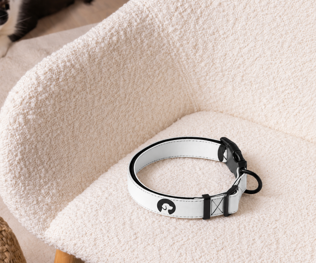 MAMGPets Premium Adjustable Dog Collar