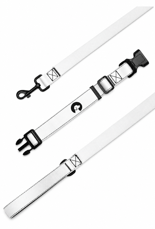 MAMGPets Premium Adjustable Dog Leash